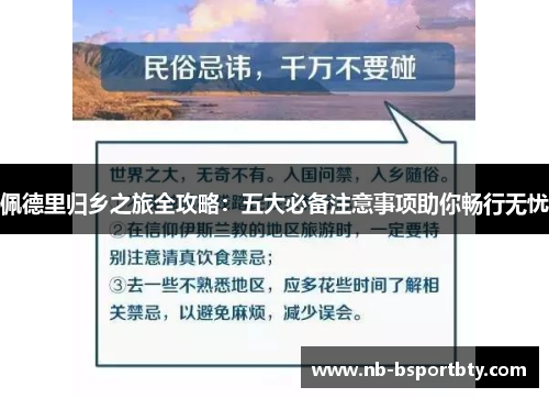 佩德里归乡之旅全攻略：五大必备注意事项助你畅行无忧